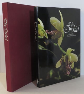 Item #15787 The Orchid. P. Francis Hunt, Takashi Kijima